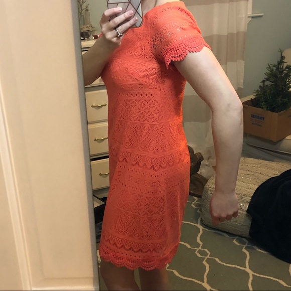 Coral Lace Dress - Picture 8 of 15